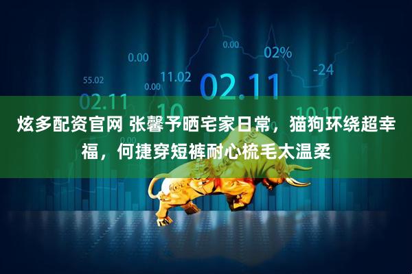 炫多配资官网 张馨予晒宅家日常，猫狗环绕超幸福，何捷穿短裤耐心梳毛太温柔