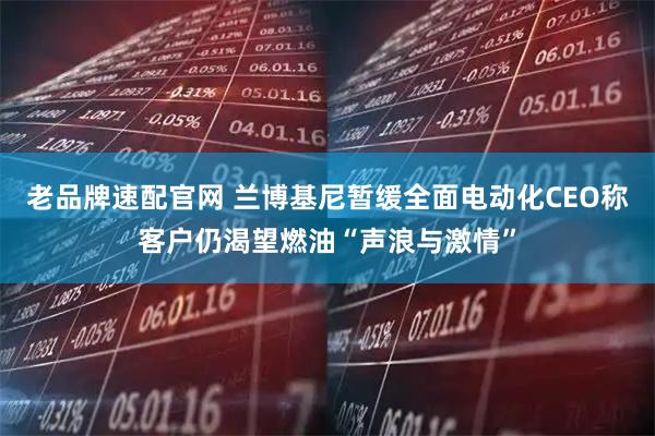 老品牌速配官网 兰博基尼暂缓全面电动化　CEO称客户仍渴望燃油“声浪与激情”