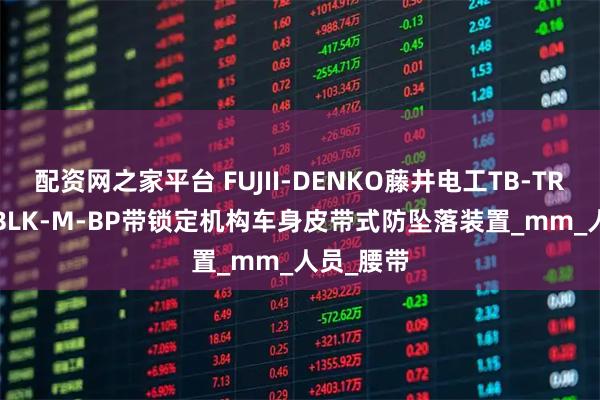 配资网之家平台 FUJII-DENKO藤井电工TB-TRN-599-BLK-M-BP带锁定机构车身皮带式防坠落装置_mm_人员_腰带
