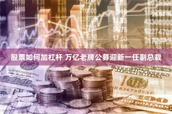 股票如何加杠杆 万亿老牌公募迎新一任副总裁