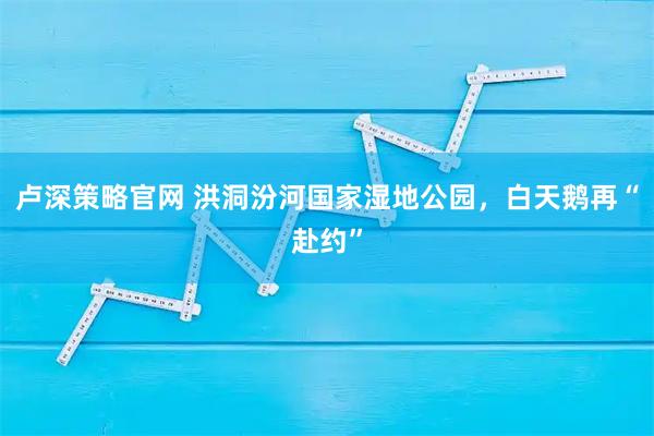 卢深策略官网 洪洞汾河国家湿地公园,白天鹅再“赴约”